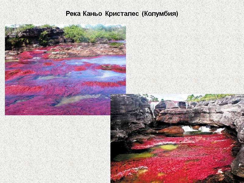 Река Каньо Кристалес (Колумбия)